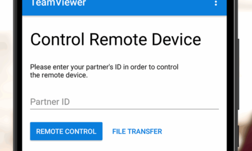 TeamViewer.15_askchadi.exe